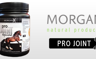 Pro Joint Equine & Canine Supplements